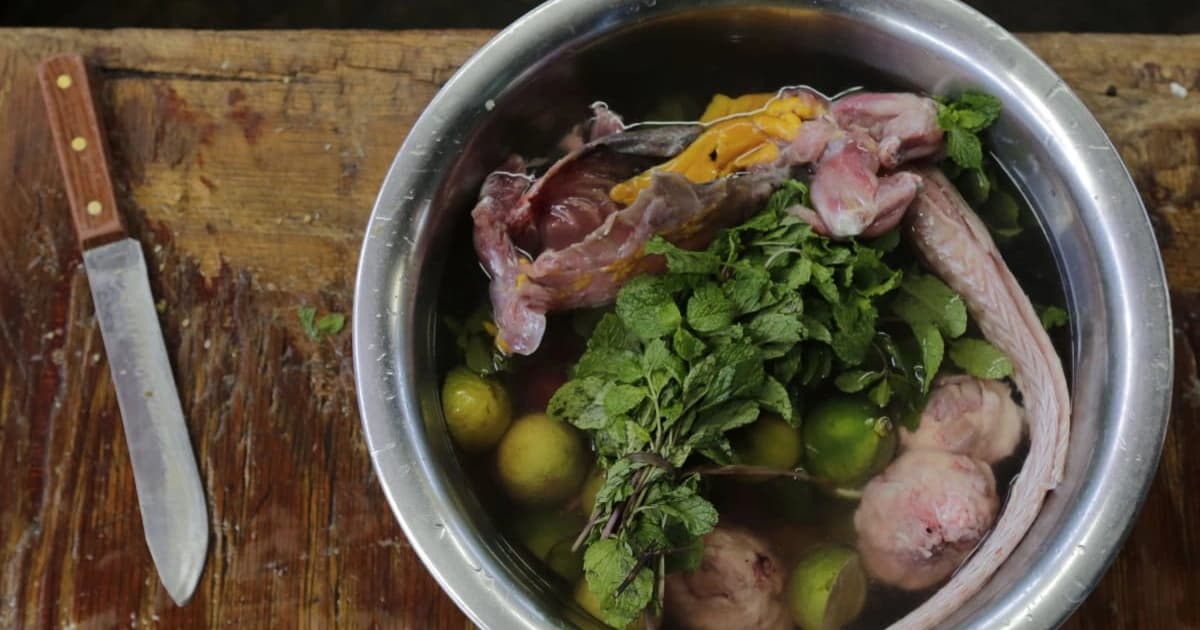 Iguana cuisine hero image