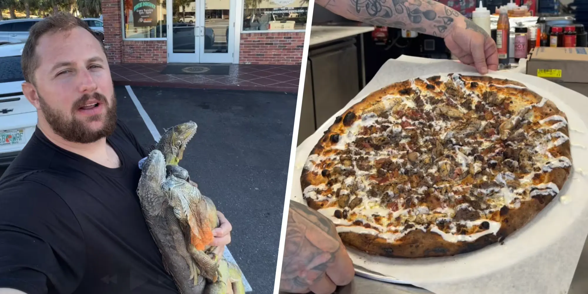 Iguana Pizza in Florida: A Food Safety Wake-Up Call