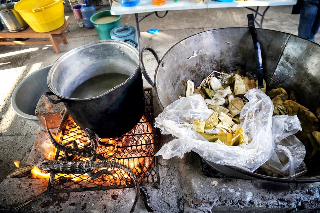 Holy Week in Juchitan: 500 Iguanas Per Day and the Fight to Preserve Both Tradition and Species